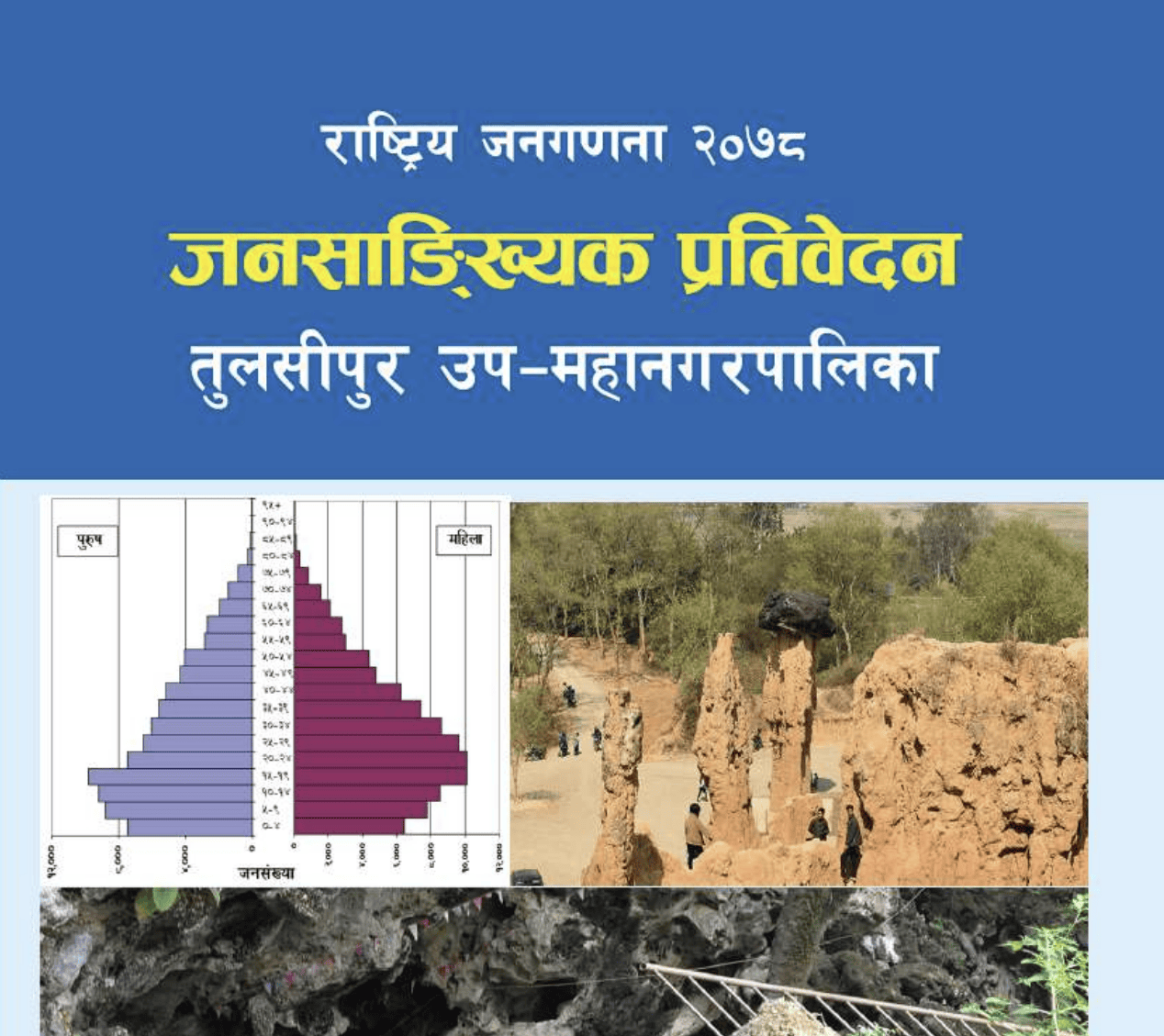 demographic_report_of_tulsipur